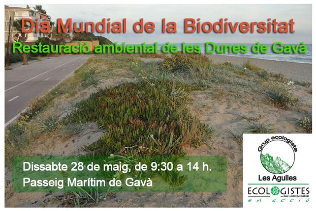 Cartel de la primera jornada de restauracin de les dunas de Central Mar (Gav Mar) organizada por el grupo ecologista 'Les Agulles' (28 Mayo 2011)